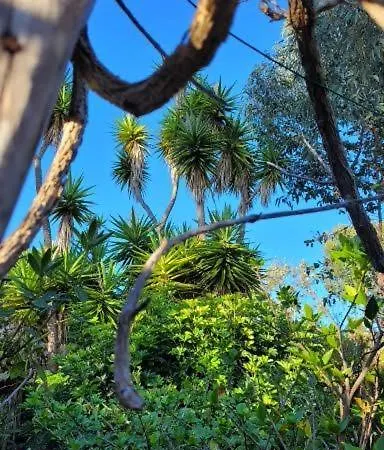 El Lance Casa de Campo *