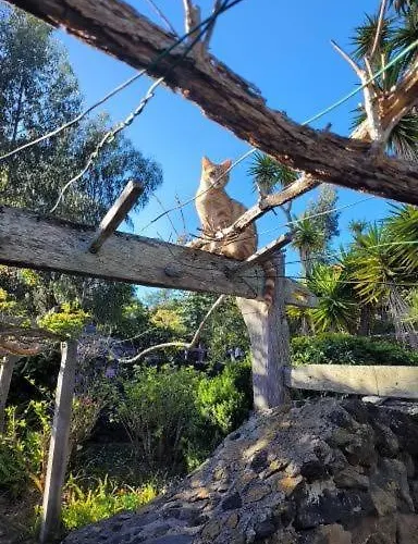 El Lance Casa rural El Tanque