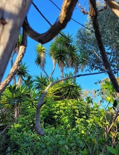 El Lance Casa de Campo *