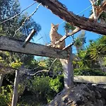 El Lance Hétvégi ház El Tanque