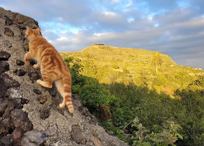 El Lance * El Tanque